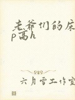 老爷们的床奴np高h