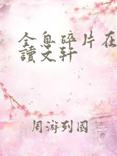 全息碎片在线阅读文轩