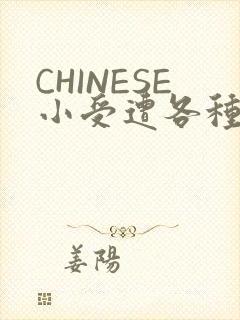 CHINESE小受遭各种打桩