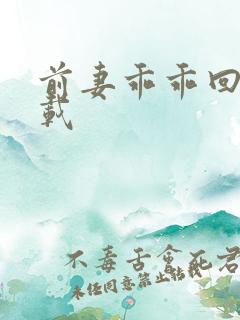 前妻乖乖回来下载