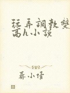 玩弄调教双胞胎高h小说