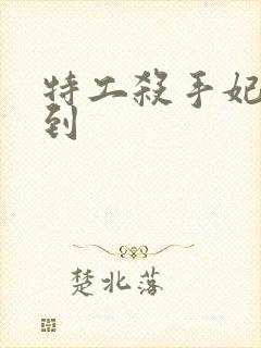 特工杀手妃来驾到