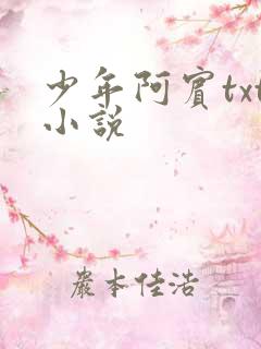 少年阿宾txt小说