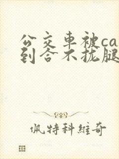 公交车被cao到合不拢腿app