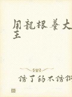 用龙根养大的公主