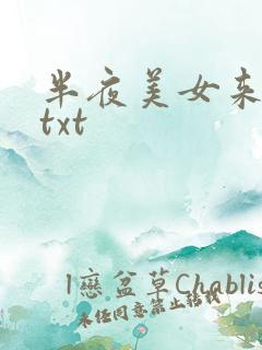 半夜美女来敲门txt