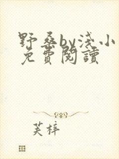 野桑by浅小说免费阅读