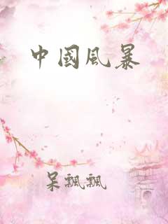 中国风暴