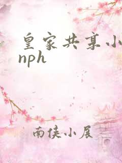皇家共享小公主nph