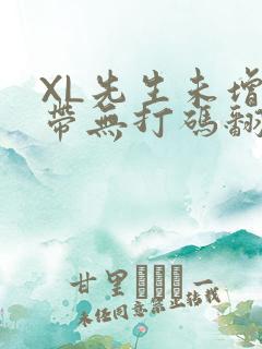 XL先生未增删带无打码翻译