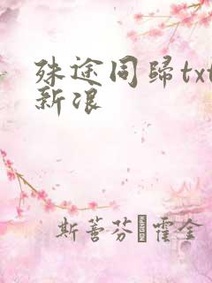 殊途同归txt新浪