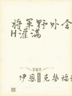 将军野外含公主H灌满