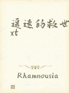 遥远的救世主txt