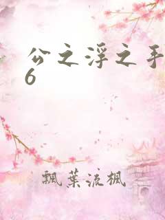 公之浮之手中字6