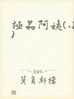 极品阿姨(小说)