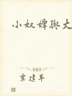 小奴婢与大少爷