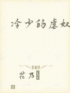 冷少的虐奴