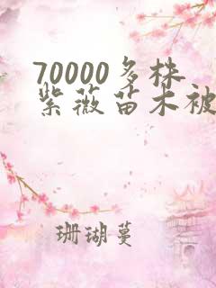 70000多株紫薇苗木被强毁