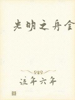 光明之舟金手指