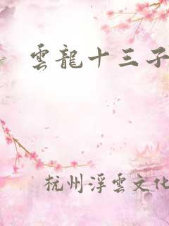 云龙十三子