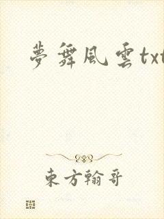 梦舞风云txt