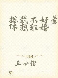 总裁不好惹女人休想离婚