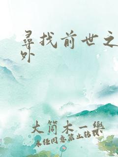 寻找前世之旅番外