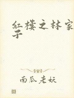 红楼之林家庶长子