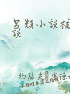 另类小说校园小说