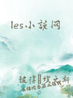 les小说网