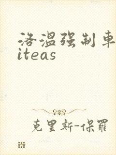 洛温强制车writeas