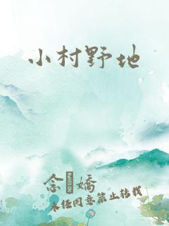 小村野地