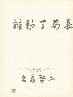 谁动了局长夫人