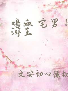 鸡血 宅男 网游王