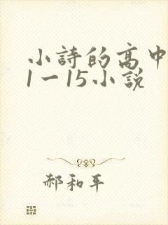 小诗的高中日记1一15小说
