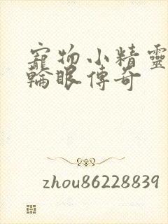 宠物小精灵之写轮眼传奇