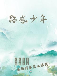 路感少年