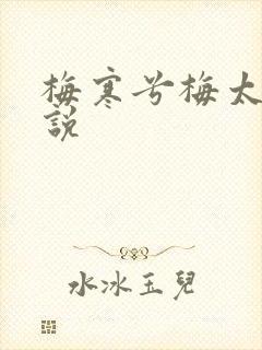 梅寒兮梅太颜小说