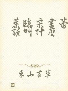 叶临宋书蕾的小说叫什么