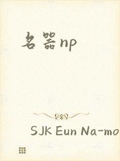 名器np