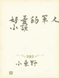 好看的军人高干小说