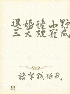 退婚后山野糙汉三天被宠成宝小说