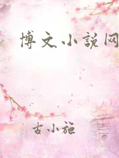 博文小说网