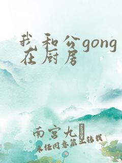 我和公gong在厨房