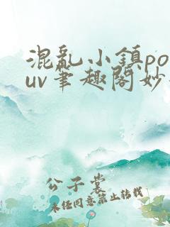 混乱小镇popuv笔趣阁妙妙