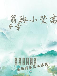 翁与小莹高潮24章