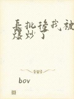 长批后我被宿敌爆炒了