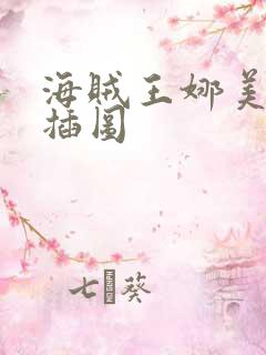 海贼王娜美被轮插图