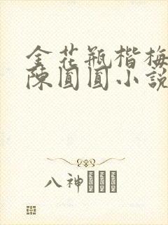 金花瓶楷梅花2陈圆圆小说