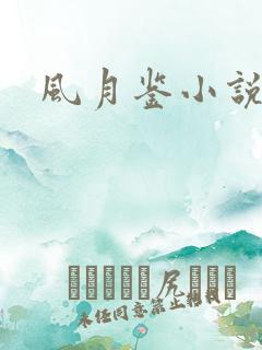 风月鉴小说论坛